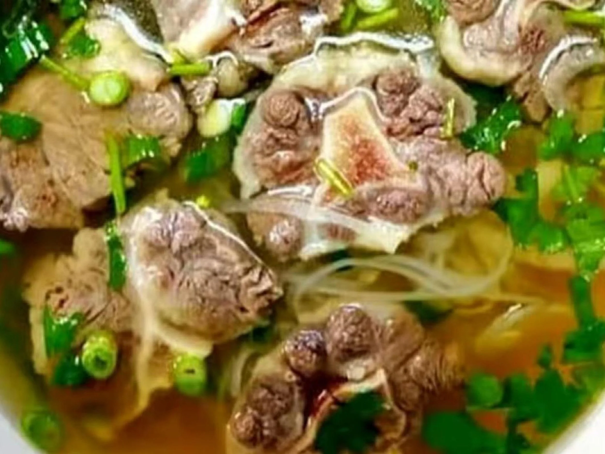 A close-up view of a bowl containing a soup with beef, chopped green onions, and herbs in a broth.