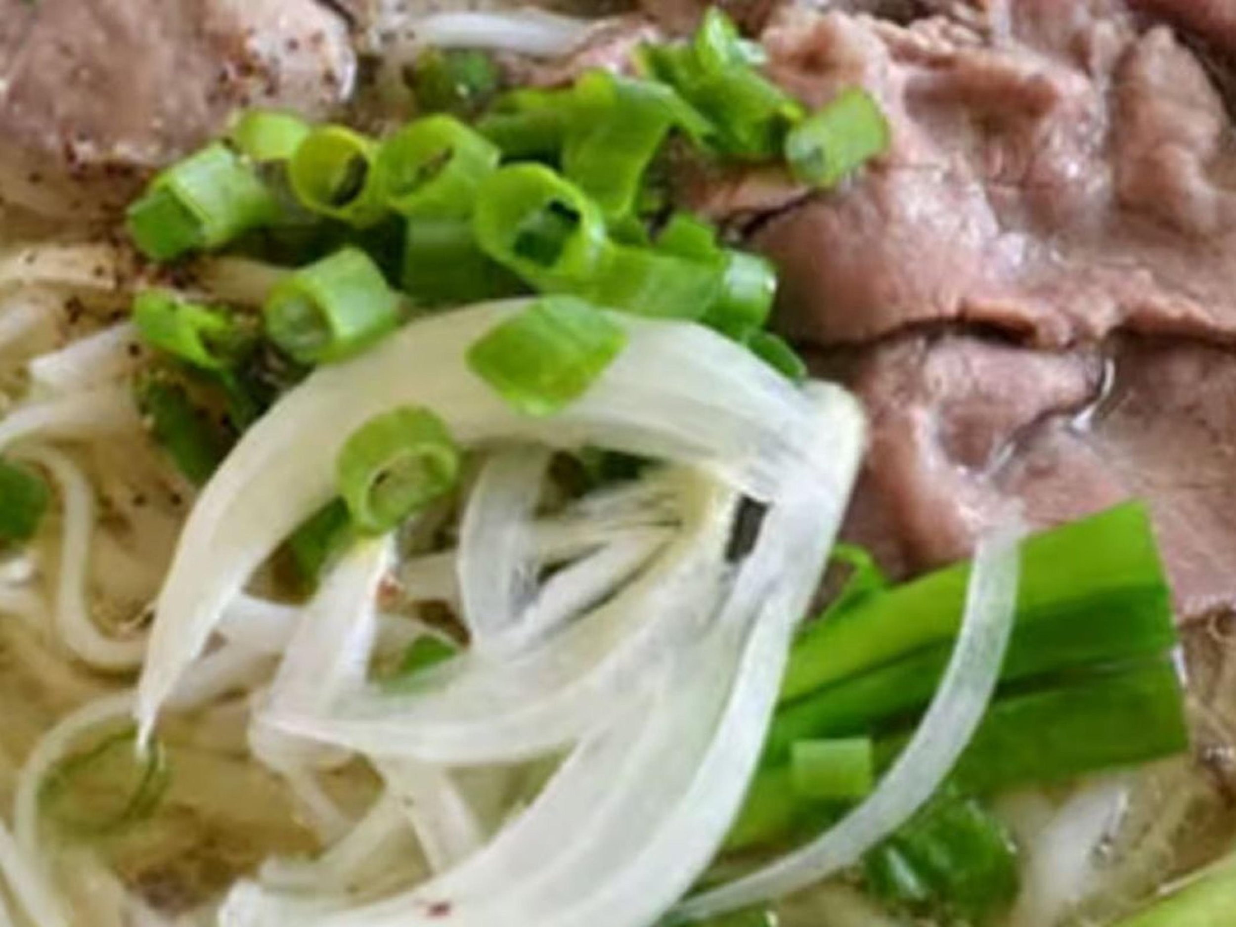 Close-up of cooked meat topped with sliced green onions and shredded white onions.