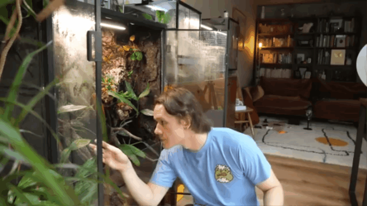 Creator Ben Newel with shoulder-length brown hair wearing a blue t-shirt inspecting a glass terrarium with plants and a small animal, in a cozy living room with shelves, books, and a brown couch.