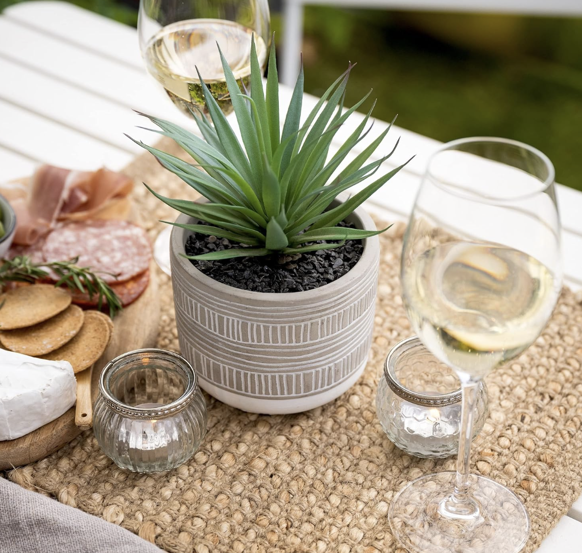 Outdoor table setting with white wine, cheese, crackers and a potted succulent for home entertaining.