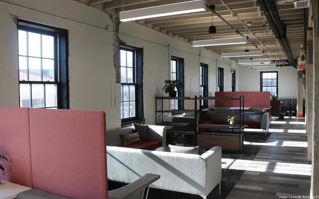Open-plan office with grey sofas, pink privacy screens, and black shelving units.