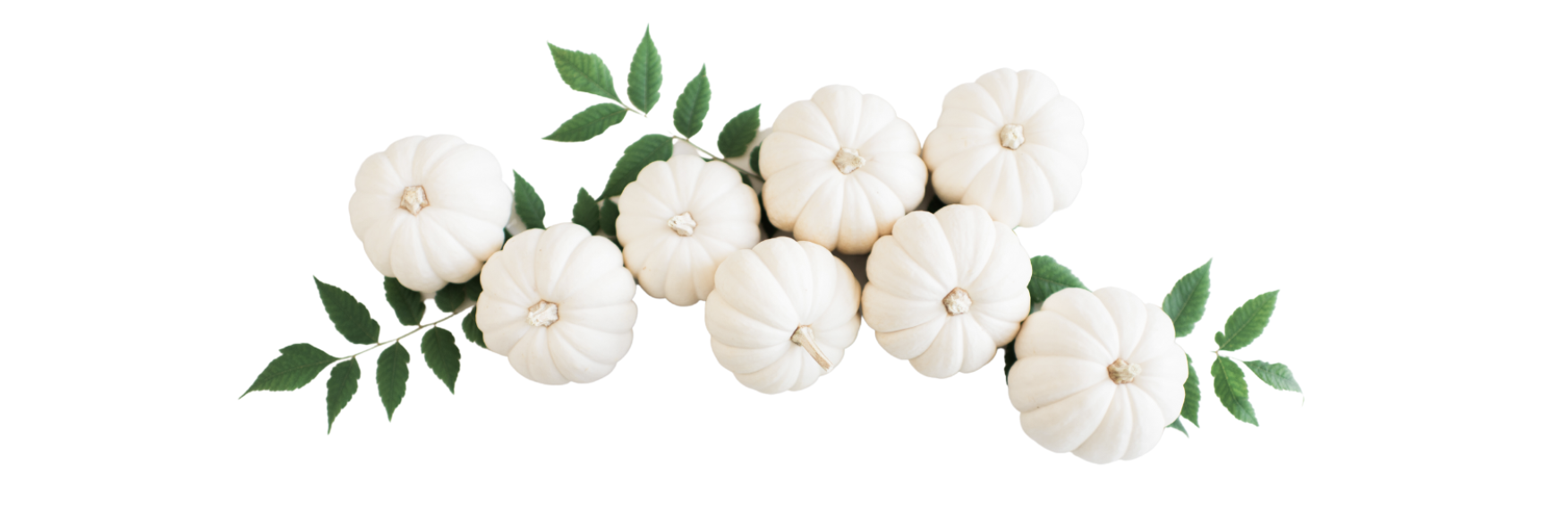 A cluster of small white pumpkins arranged with green leaves against a white background.