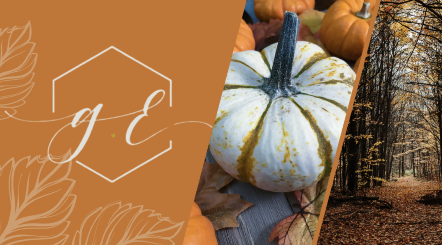 A logo over an orange background, pumpkins, and a forest path.