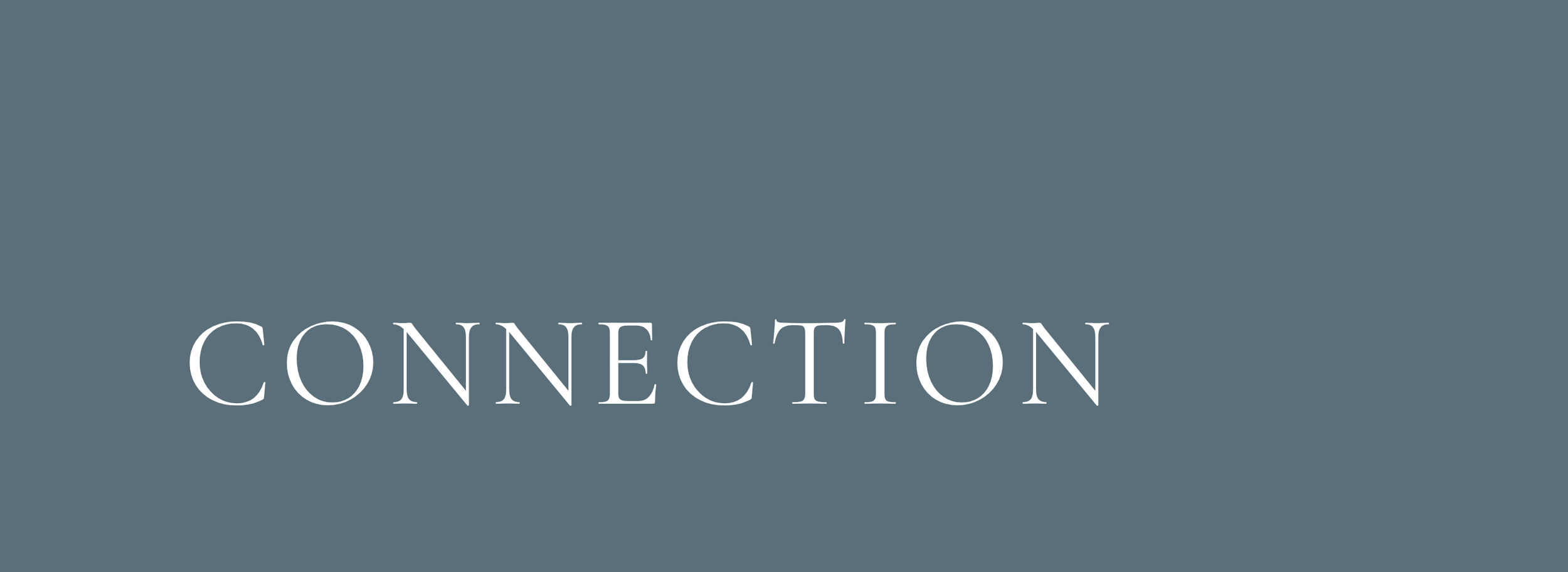 Gray background with the word 'CONNECTION' written in large white serif font.