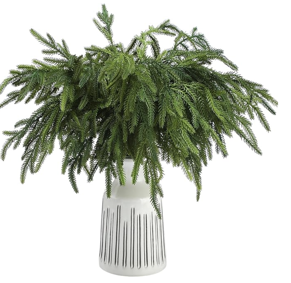 Green fern in a patterned white ceramic planter for natural home decor.