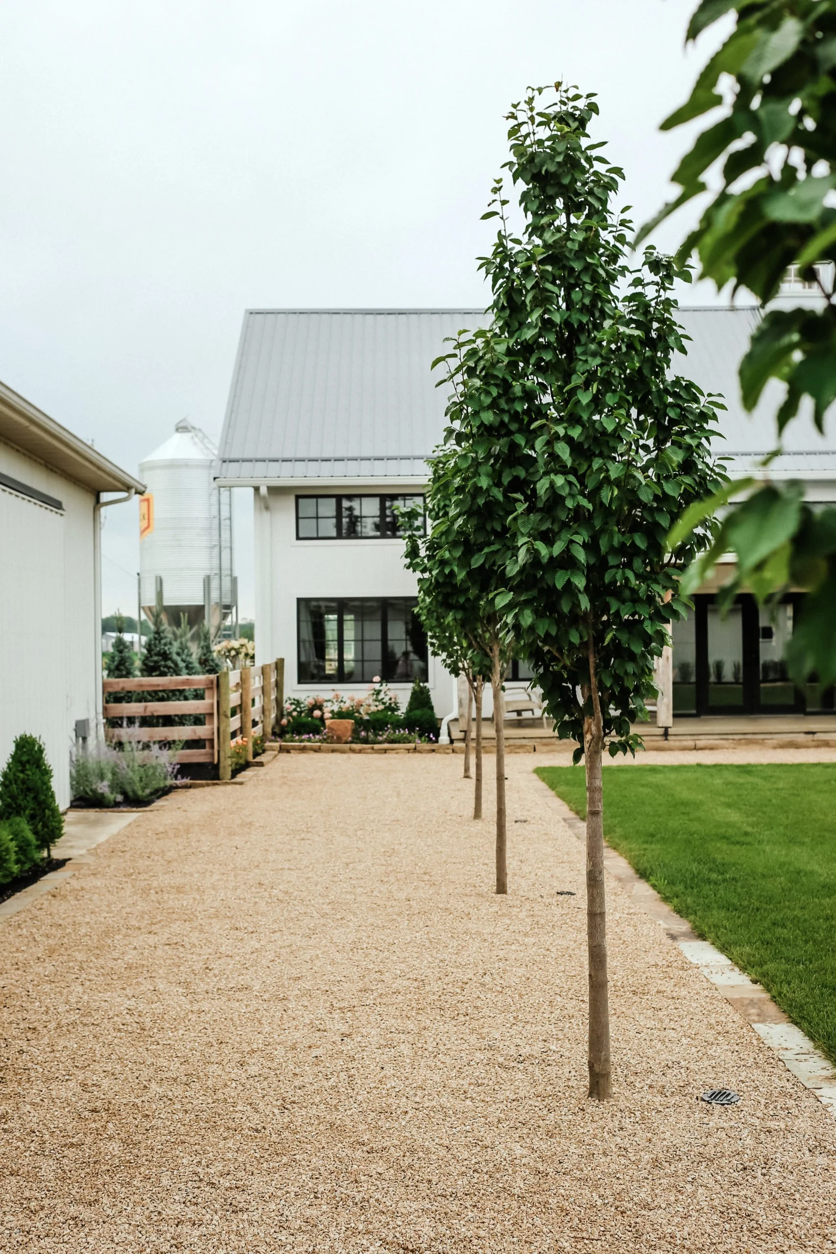 A gravel path lined with small trees leads toward a modern white farmhouse with a grain silo in the background.