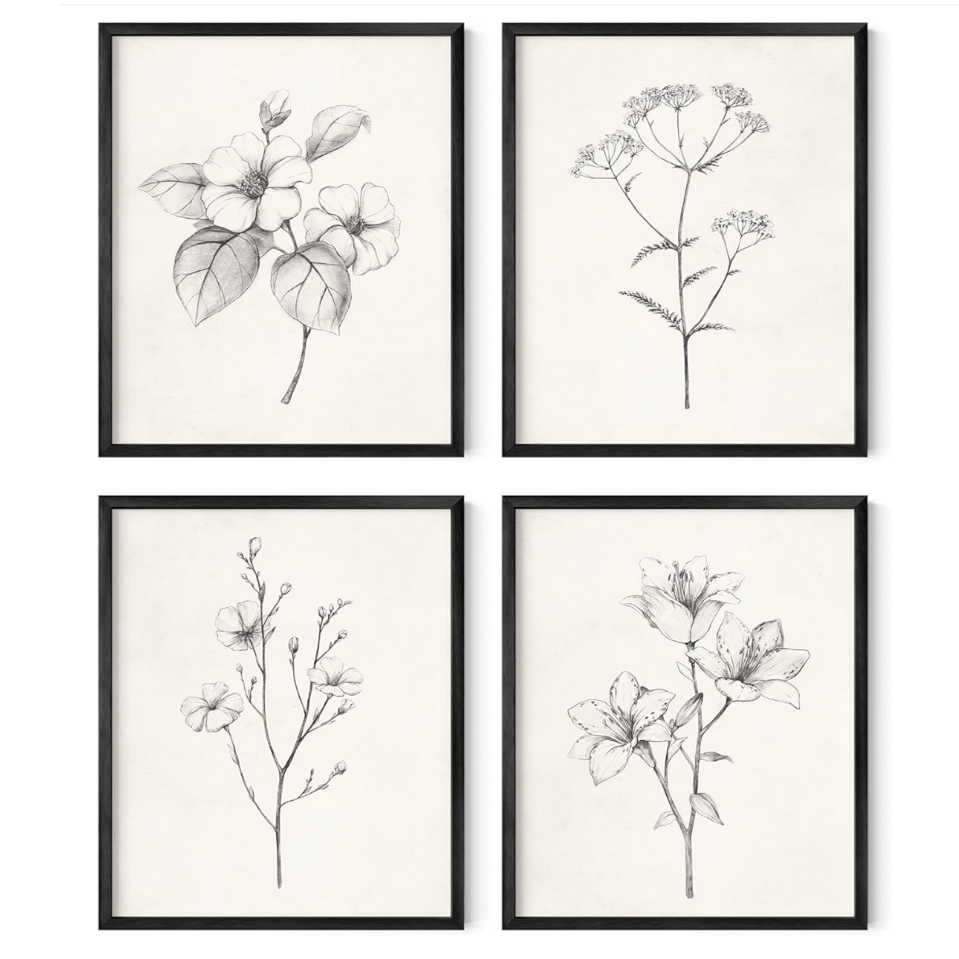 Black-and-white botanical wall art prints in black frames for curated home decor.