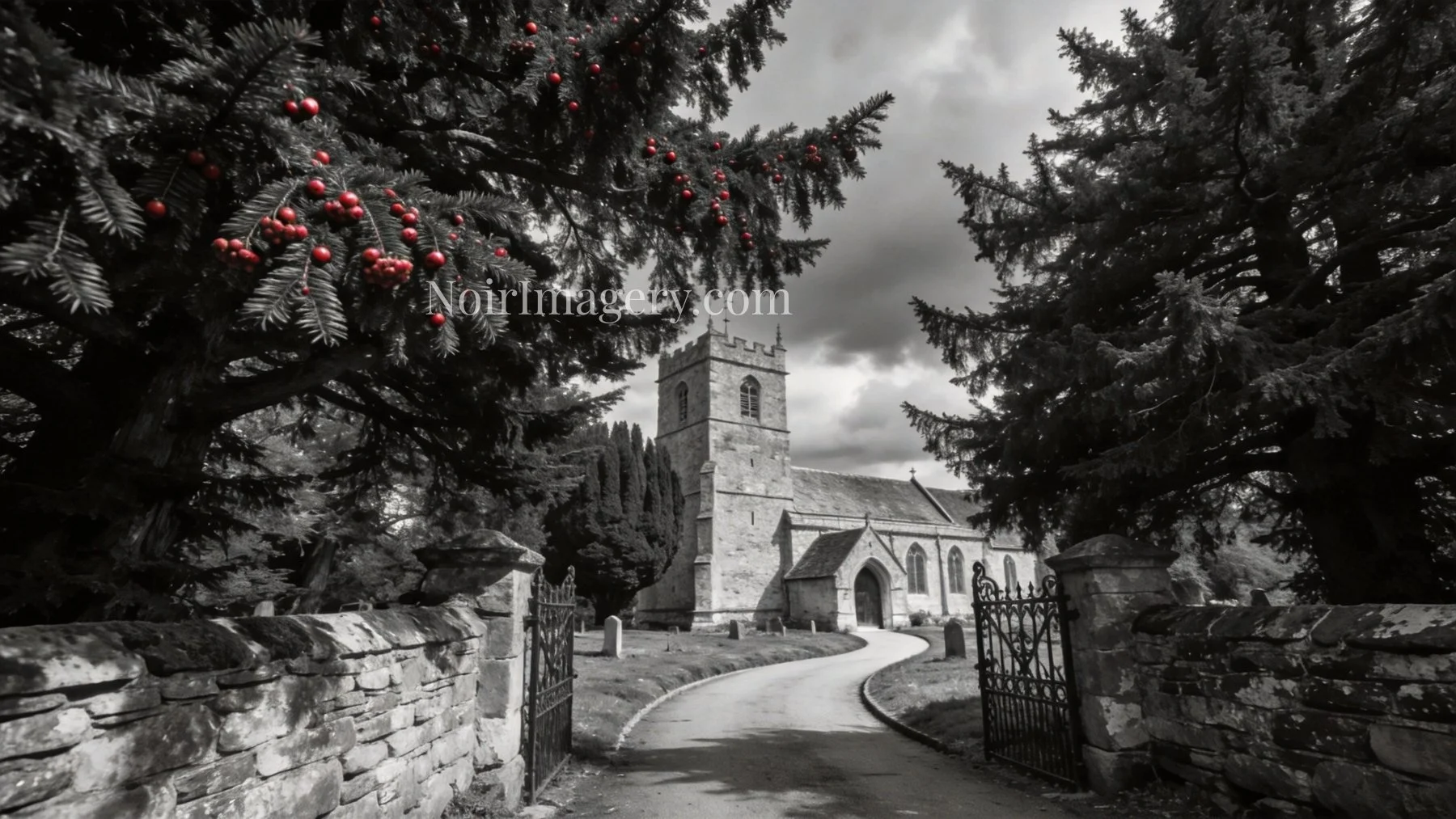 Black-and-white image of ancient yew trees surrounding a historic stone church along a quiet stone pathway.