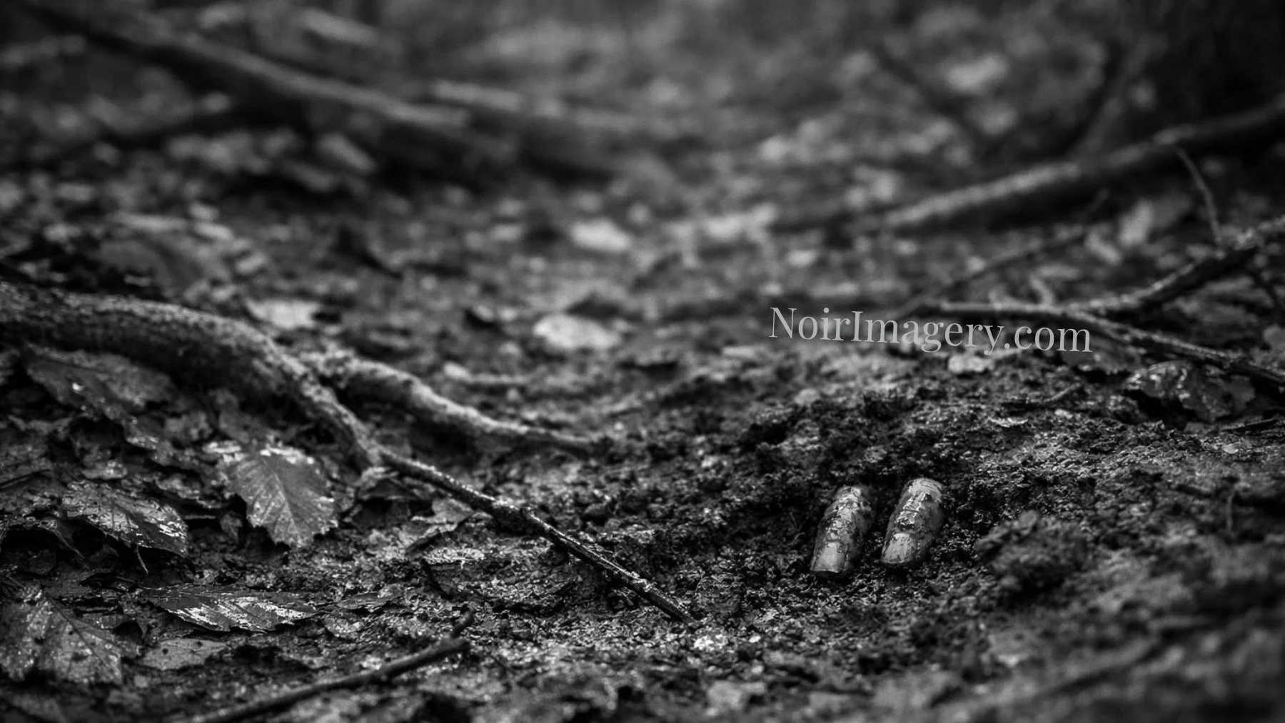 Black-and-white noir image of two fingers emerging from a muddy forest floor after rainfall.