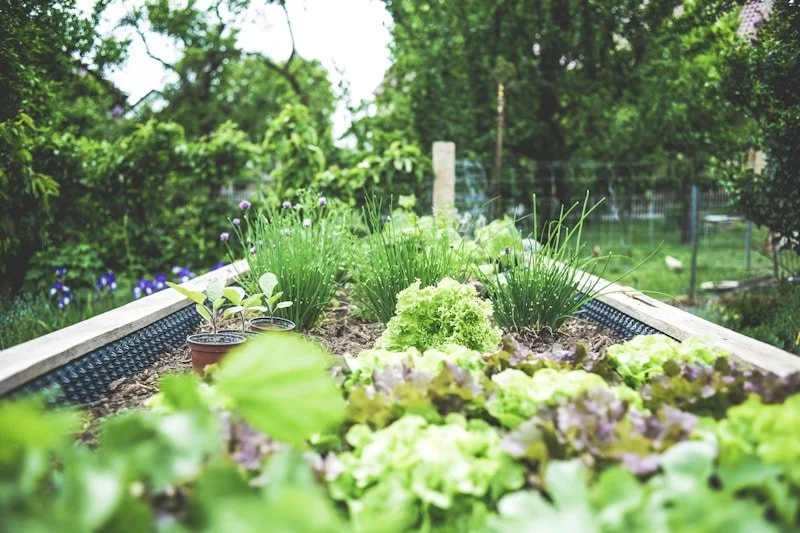 Landscaping & Lawn Care