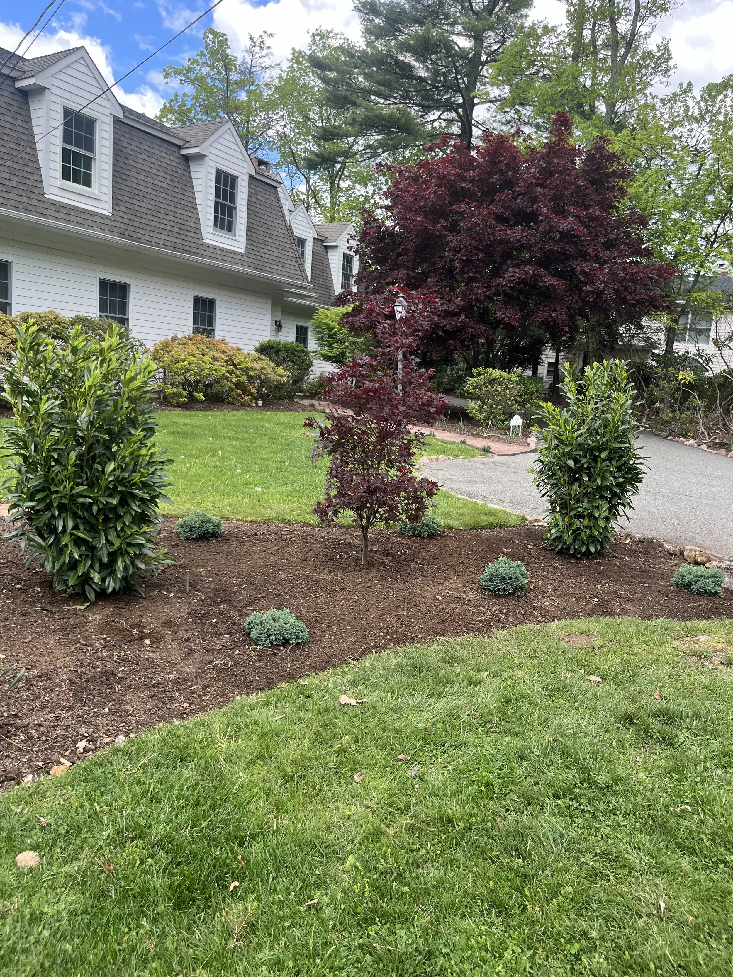 A well-maintained garden area in front of a white house with dormer windows, featuring a small red-leafed tree, two large green bushes, several small green shrubs, and a neatly mowed lawn.