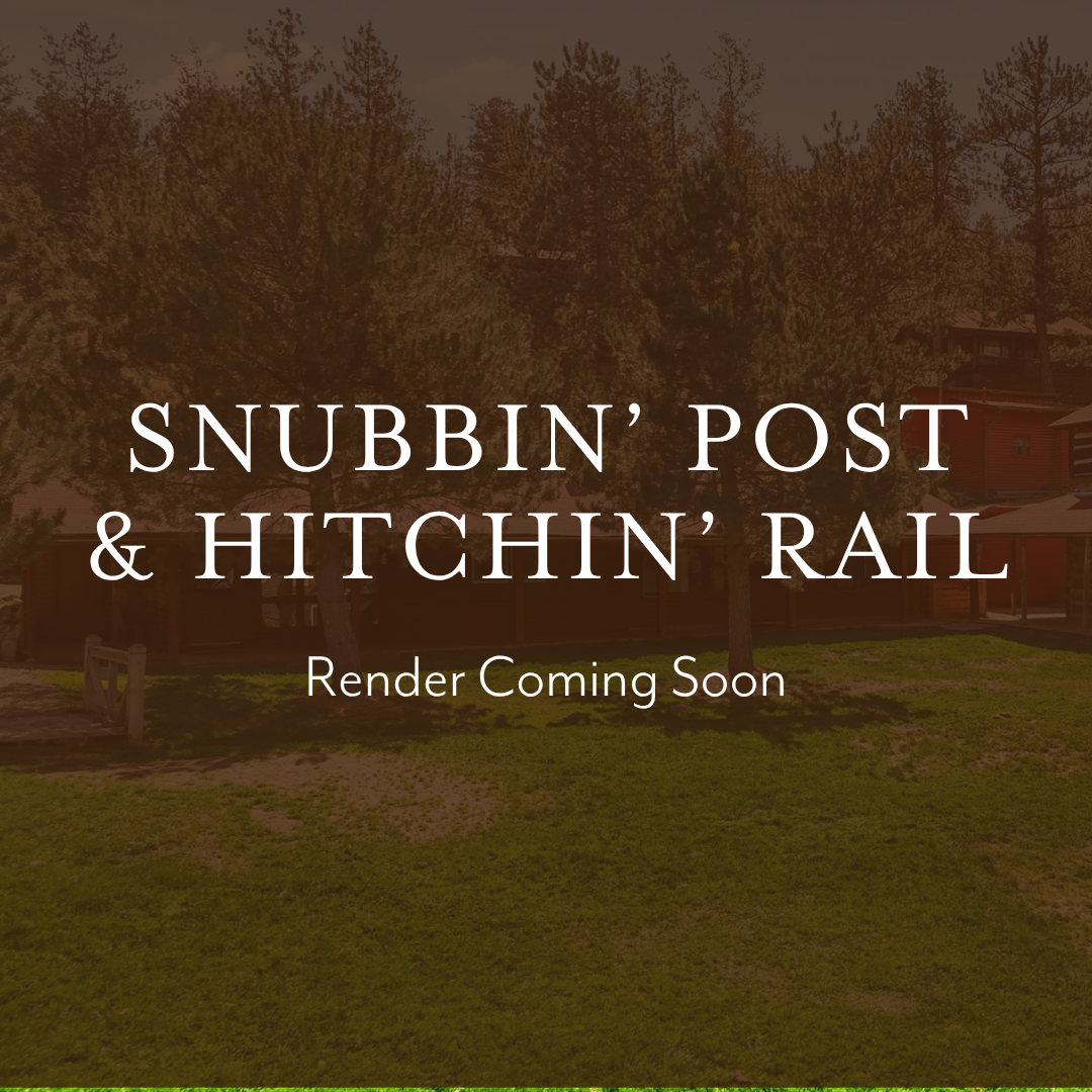 Snubbin’ Post &amp; Hitchin’ Rail