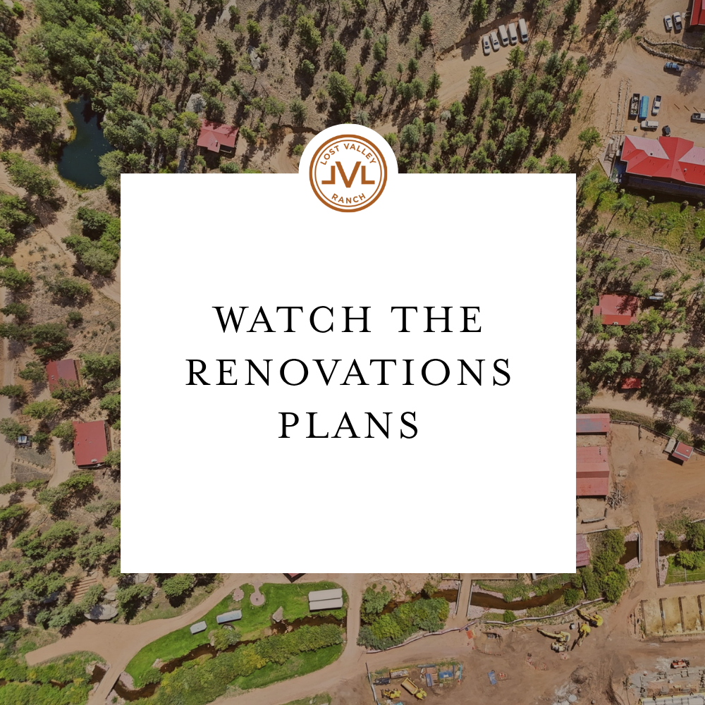 Watch the Renovations Plans