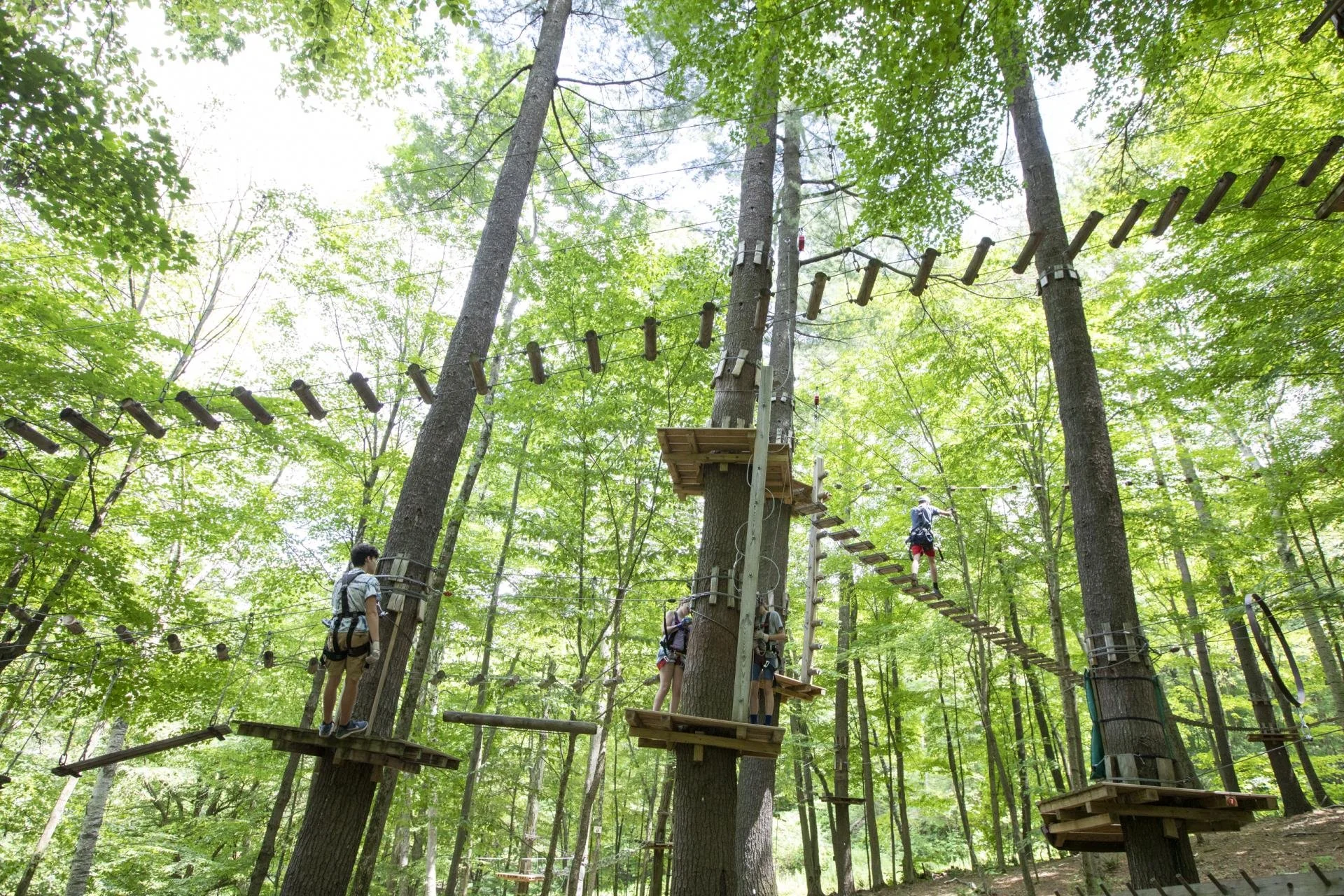 Children and adults walking on a rope bridge and platform course in a forested adventure park surrounded by tall trees and lush green leaves.