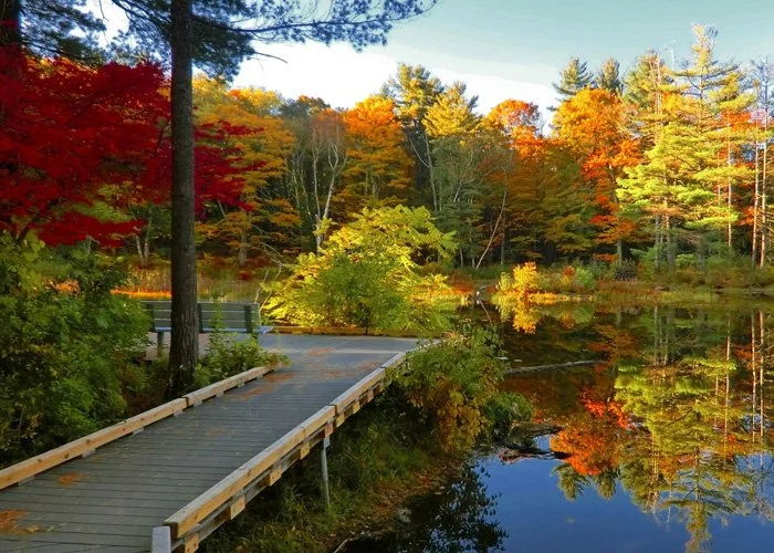 A wooden bridge over a lake surrounded by colorful autumn trees.