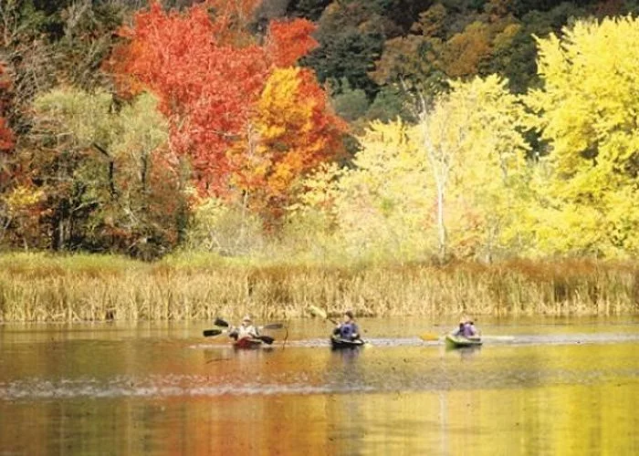 Three people kayaking on a calm river surrounded by colorful autumn trees.