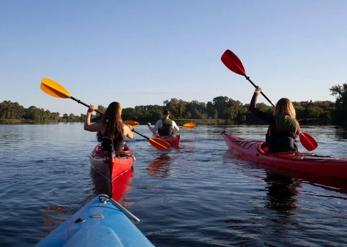 Three people kayaking on calm water during the day, with trees visible in the background.