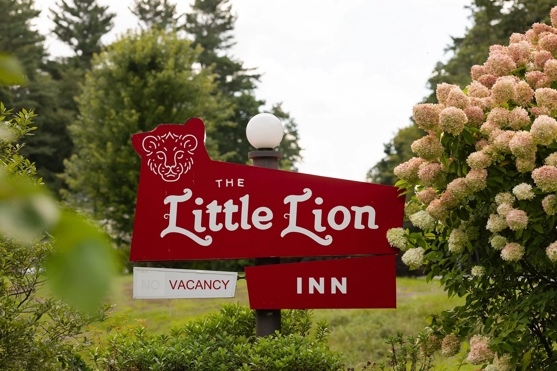 A red sign with a stylized lion's face at the top, reading "The Little Lion" in white text, surrounded by pink hydrangea flowers and green trees in the background.