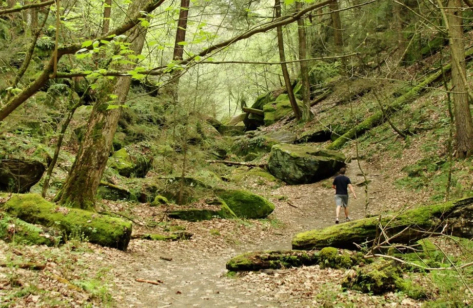 A person walking on a dirt trail through a wooded forest with rocks and trees covered in moss.