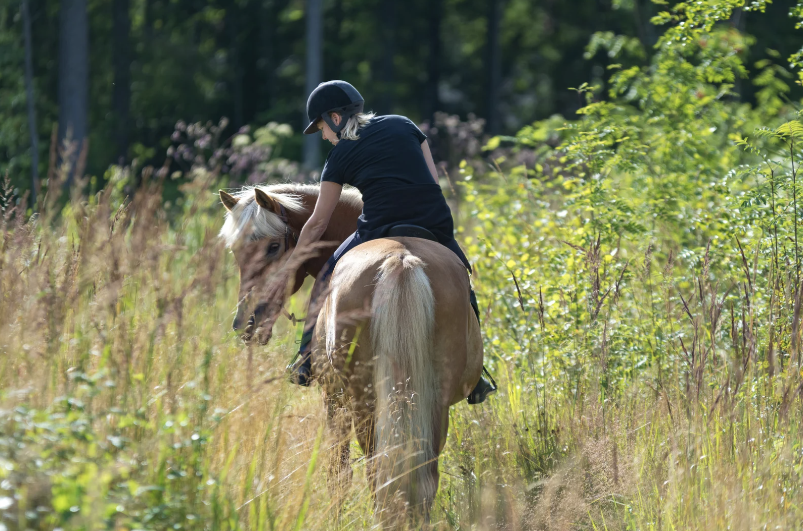 Person riding a horse through a grassy field with trees in the background on a sunny day.