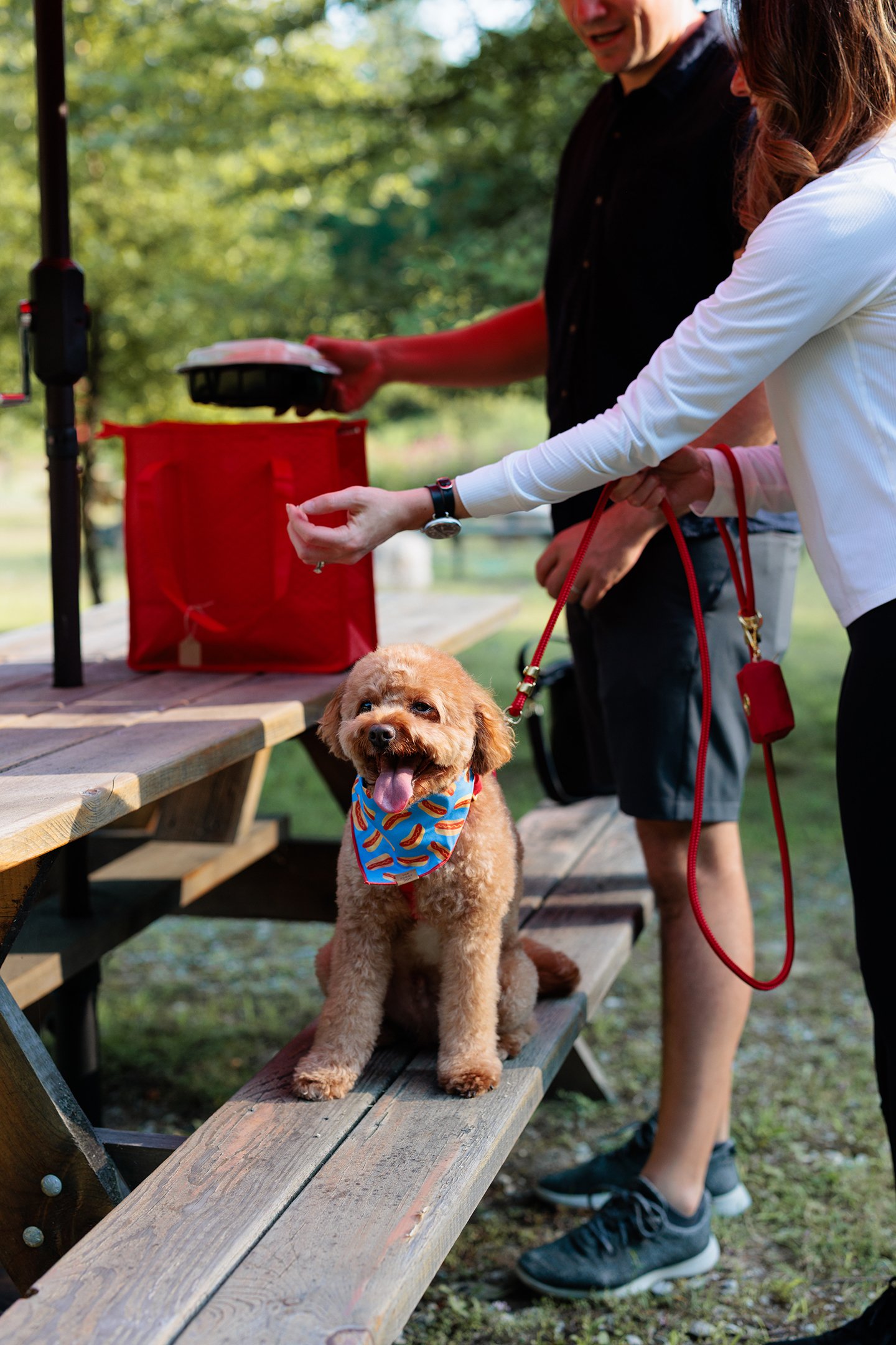 A small brown dog with a red, white, and blue bandana sitting on a wooden bench outdoors. Behind the dog, two people are standing near a table, one of whom is holding an open food container. The scene is set in a park with trees and green foliage.