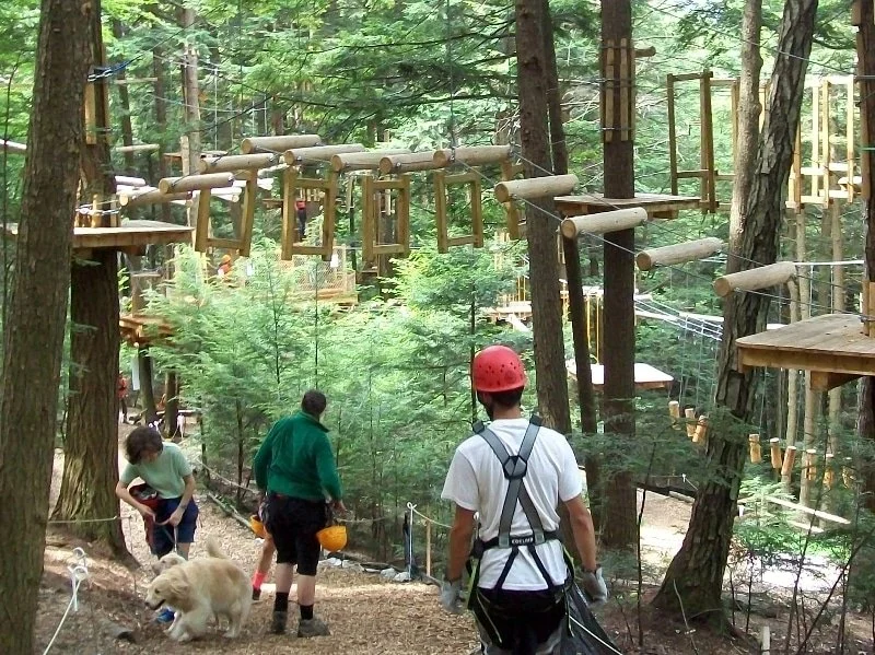 People at an outdoor adventure park in a forest, with wooden climbing structures and platforms among tall trees, and individuals wearing safety gear, including helmets.