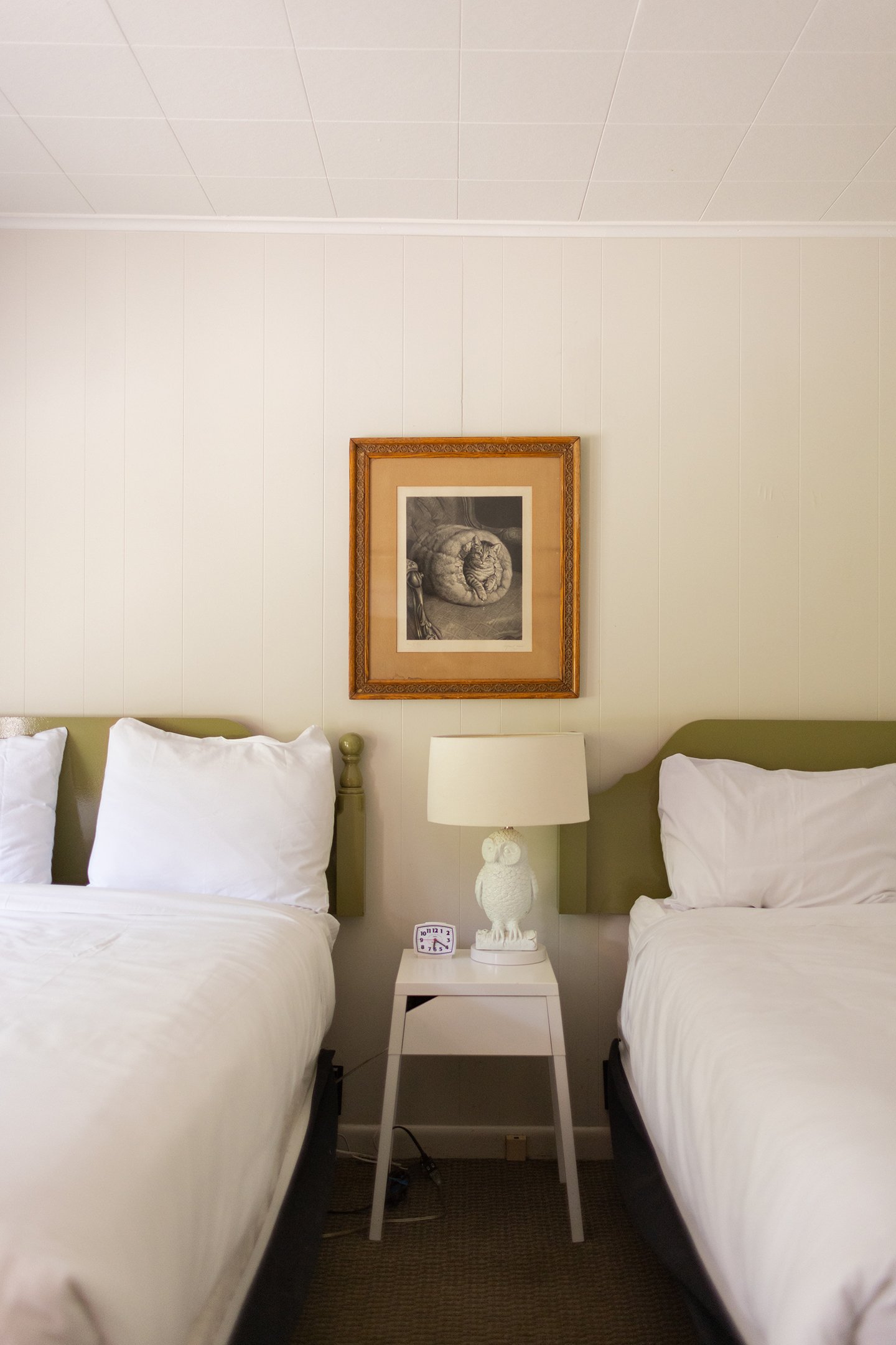 Two neatly made beds with white bedding and pillows, sitting side by side in a room with a white paneled wall. There is a small white nightstand between the beds, holding a decorative owl-shaped lamp and a small digital clock. A framed black-and-white picture of a cat curled up on a blanket hangs on the wall above the nightstand.