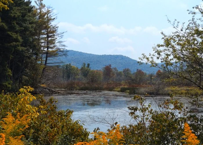 A river flowing through a forested area with autumn foliage, distant mountains, and a partly cloudy sky.