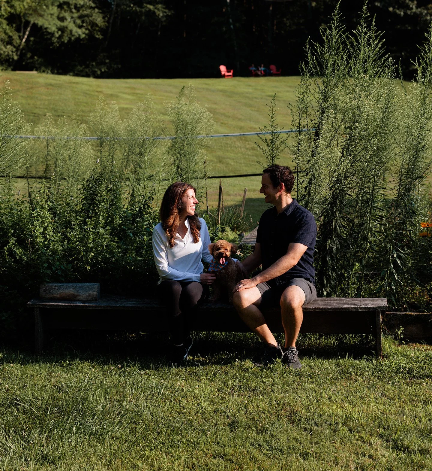 A couple sitting on a park bench with their dog, surrounded by greenery, smiling at each other, with large open grassy area and trees in the background.