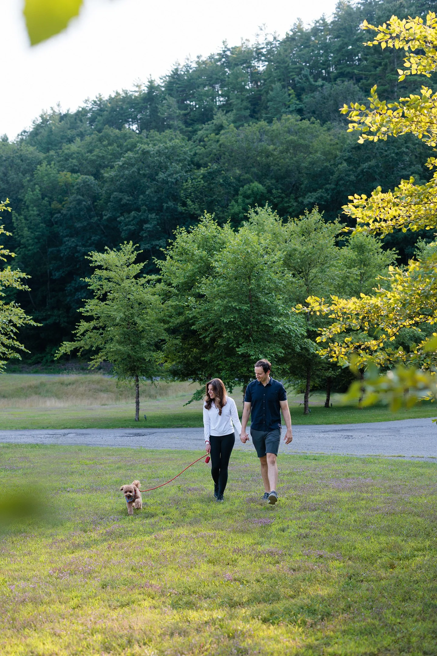A couple walking hand-in-hand in a park with a small brown dog. The park has lush green trees and grass, with a wooded hill in the background. The woman has long brown hair and is wearing a white top, while the man has short dark hair and is wearing a dark shirt and shorts.