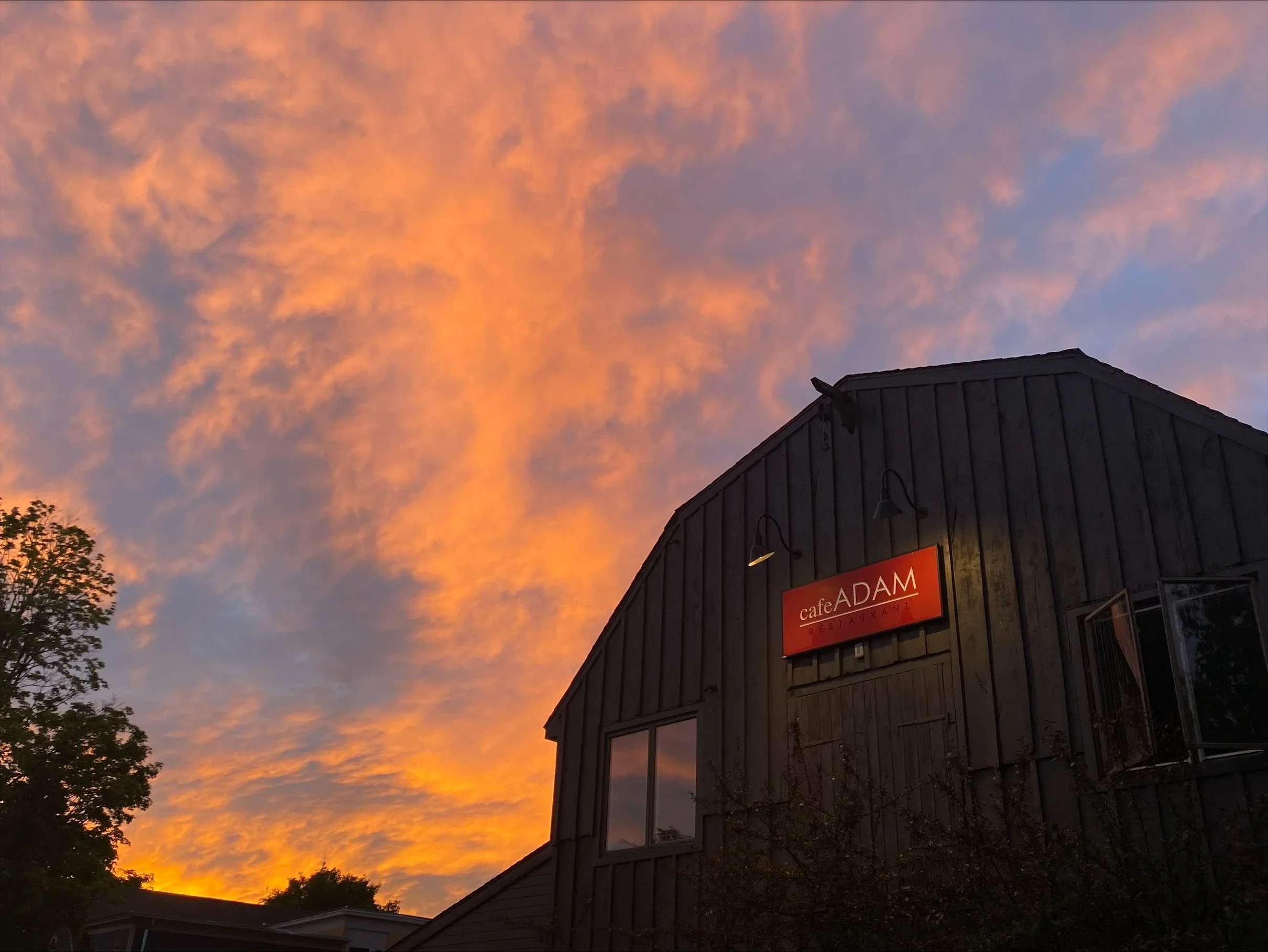 Sunset sky with orange and pink clouds above a dark building with a sign that reads 'cafeADAM' and some trees in the foreground.