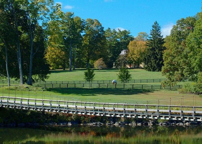 A scenic park view with a bridge over a pond, green grass, tall trees, and a house in the background under a blue sky.