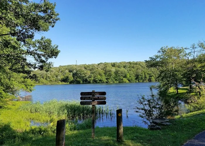 A serene lake with trees and greenery surrounding it, clear blue sky overhead, and a sign in the foreground indicating "Hubbard Pond".