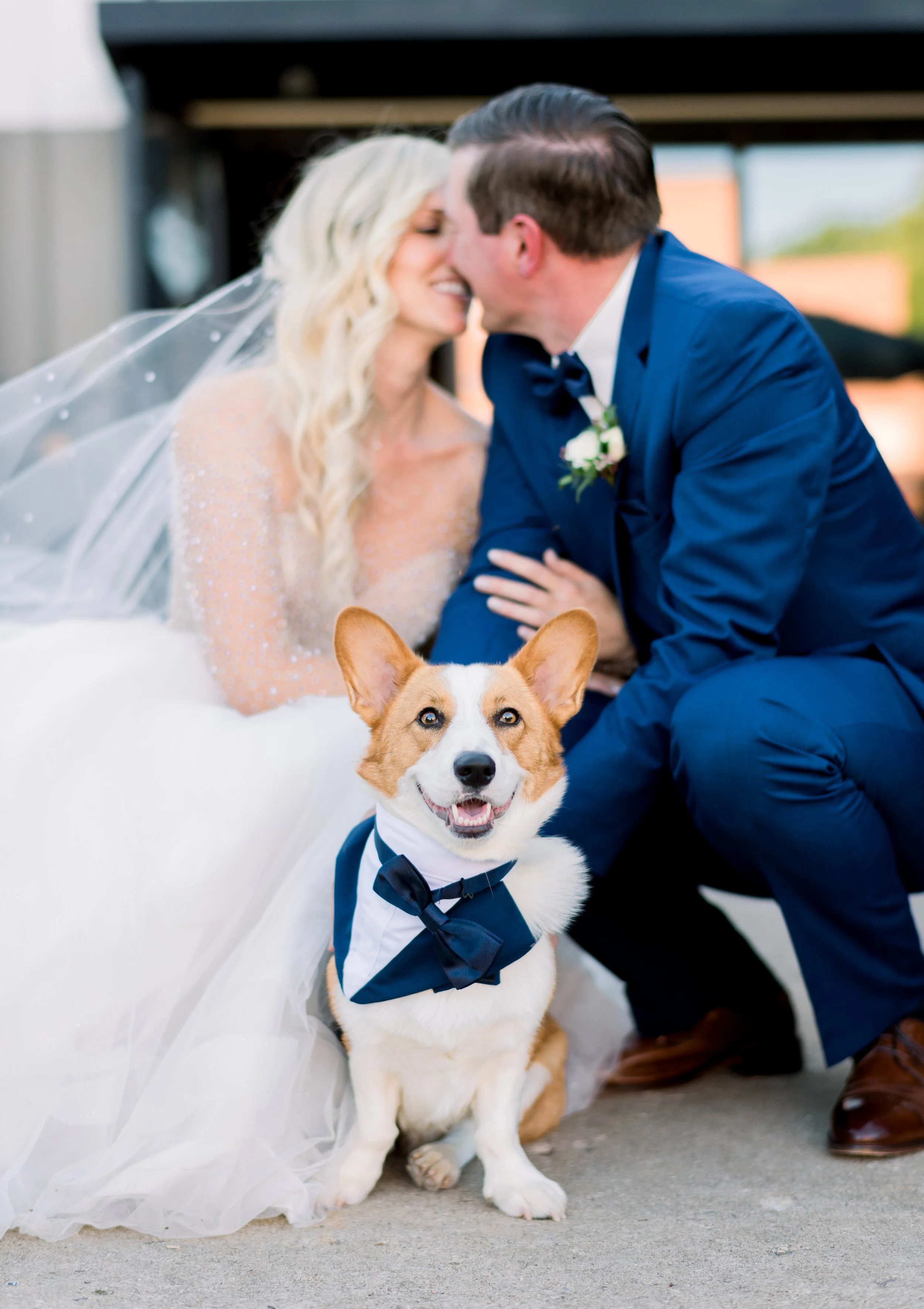 A bride and groom kissing with a smiling dog in a tuxedo bandana in the foreground.