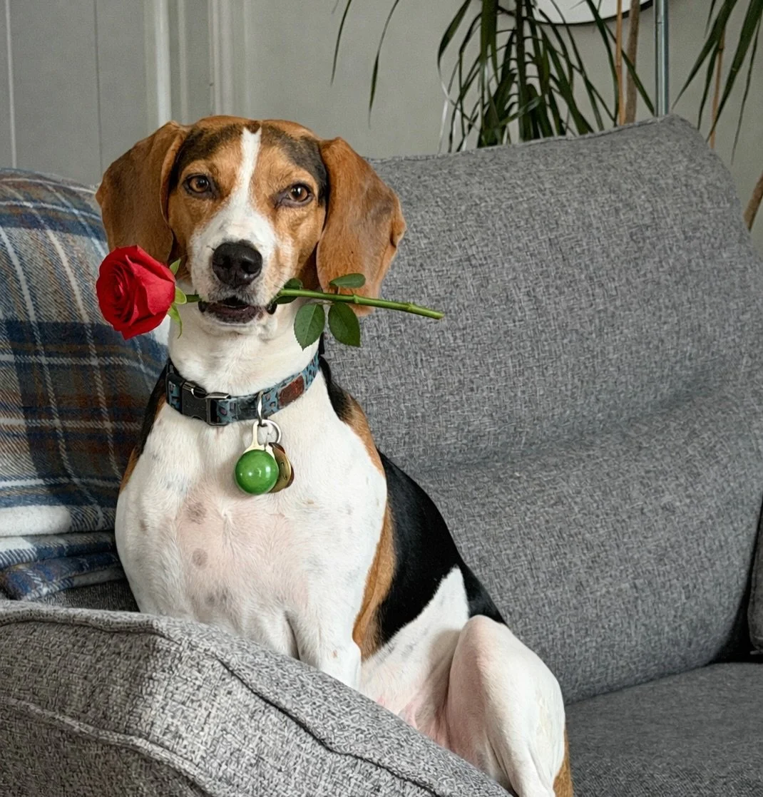 Happy Valentine&rsquo;s Day. We hope you all feel extra loved today 🖤