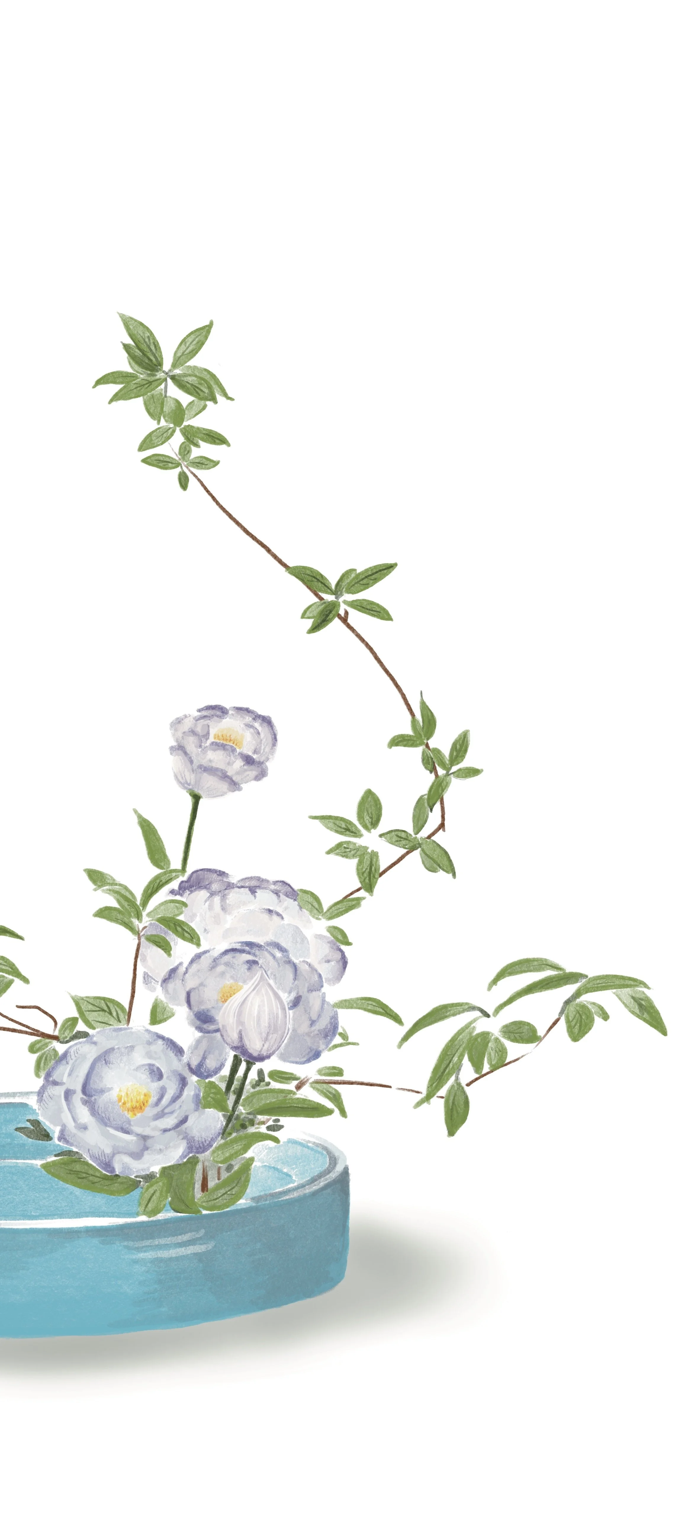 Water lilies with green leaves and a chain of greenery in a blue water pool