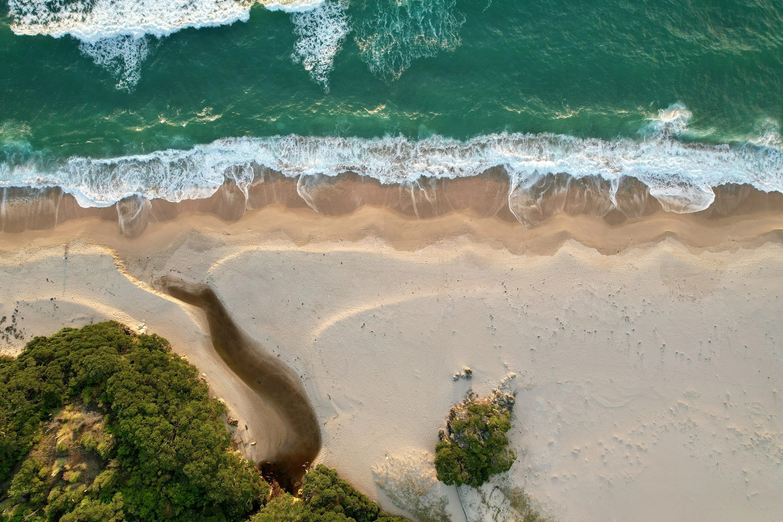 dji_fly_20260403_075108_751_1775156145955_photo.jpeg