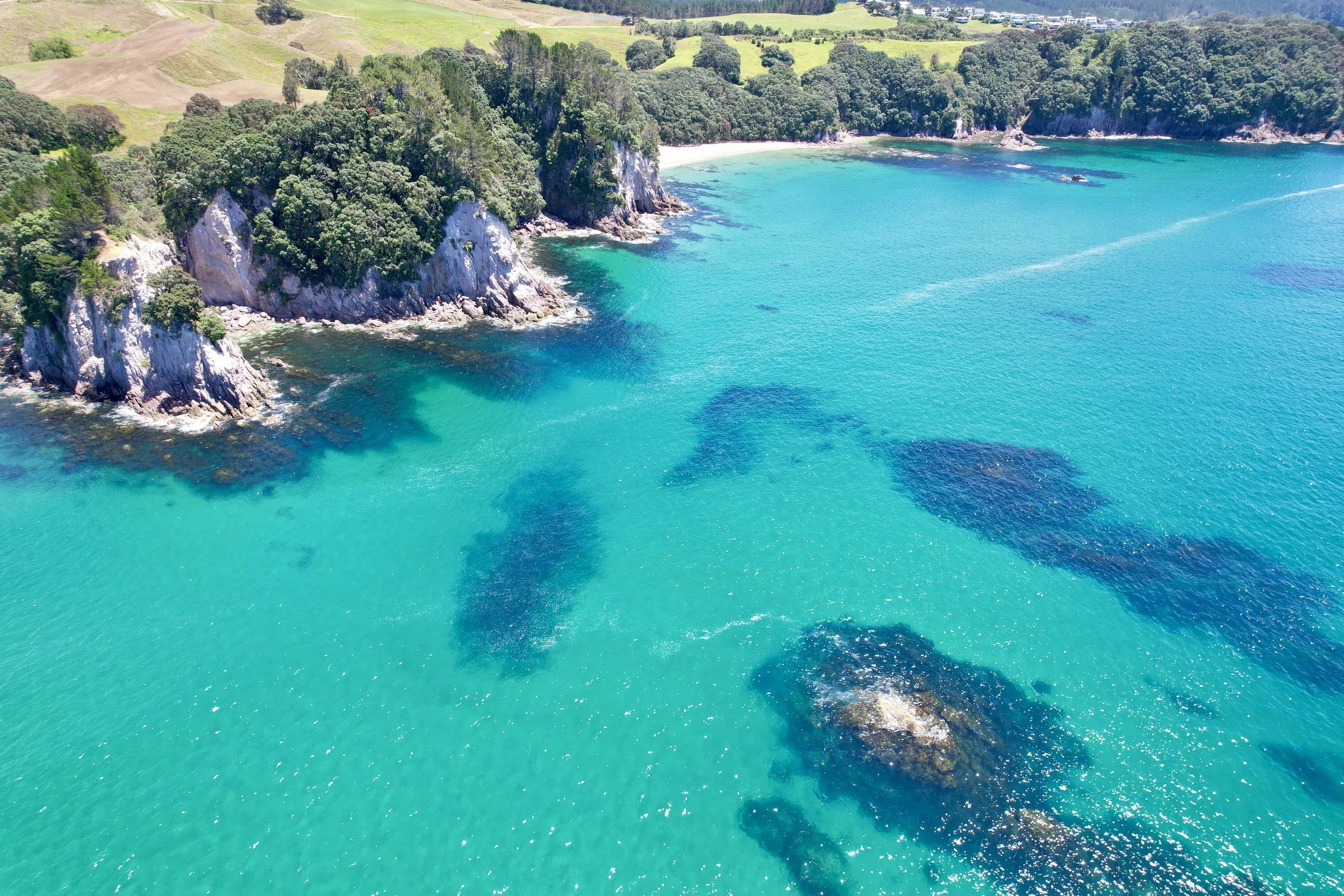dji_fly_20240102_130156_755_1704157272369_photo.jpeg