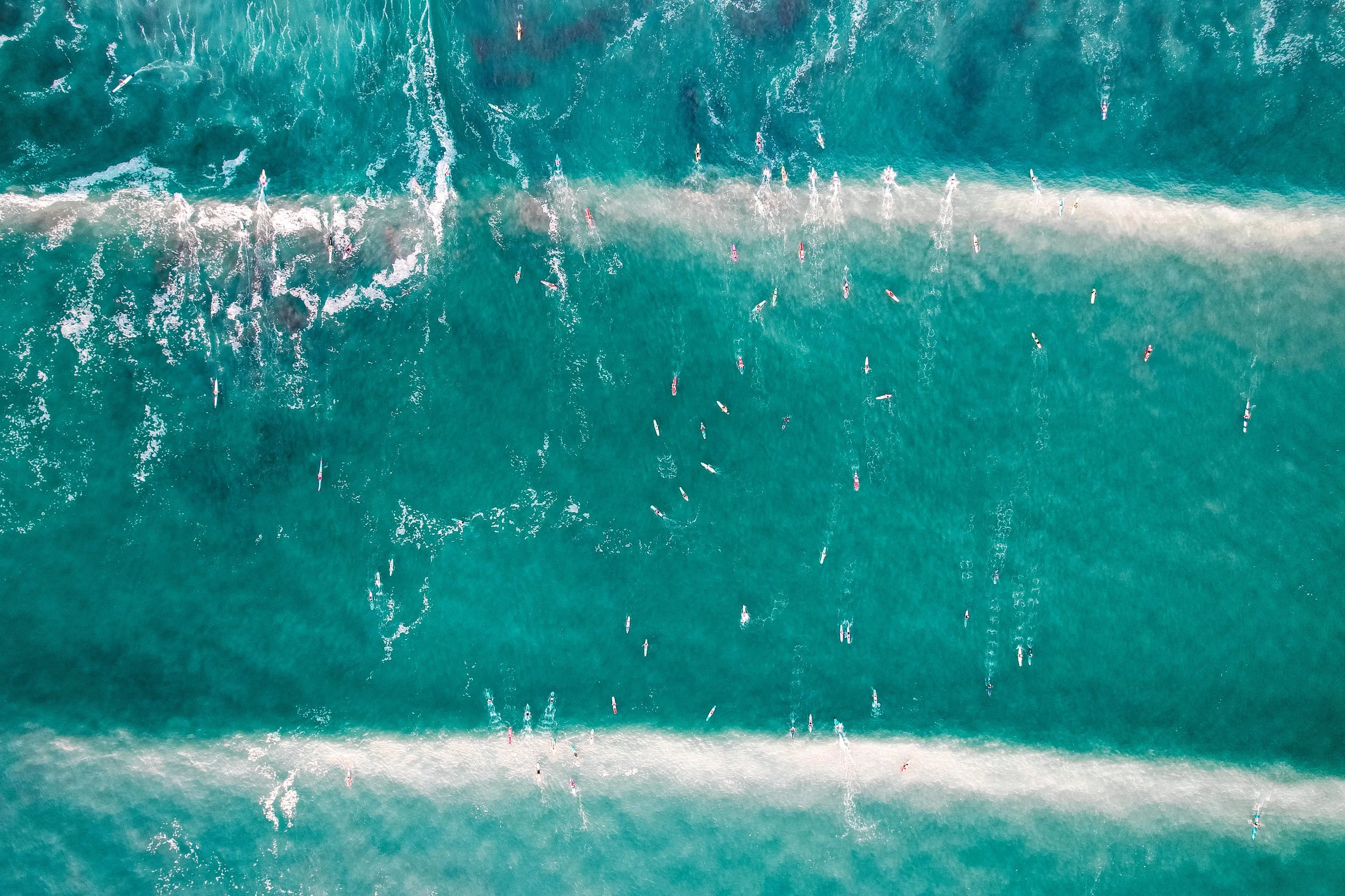 dji_fly_20230311_073102_200_1678474259347_photo.jpeg