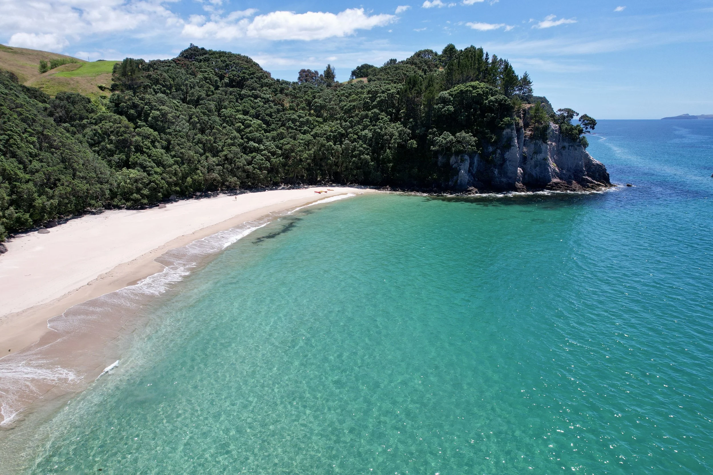 dji_fly_20240102_130634_760_1704157263652_photo.jpeg