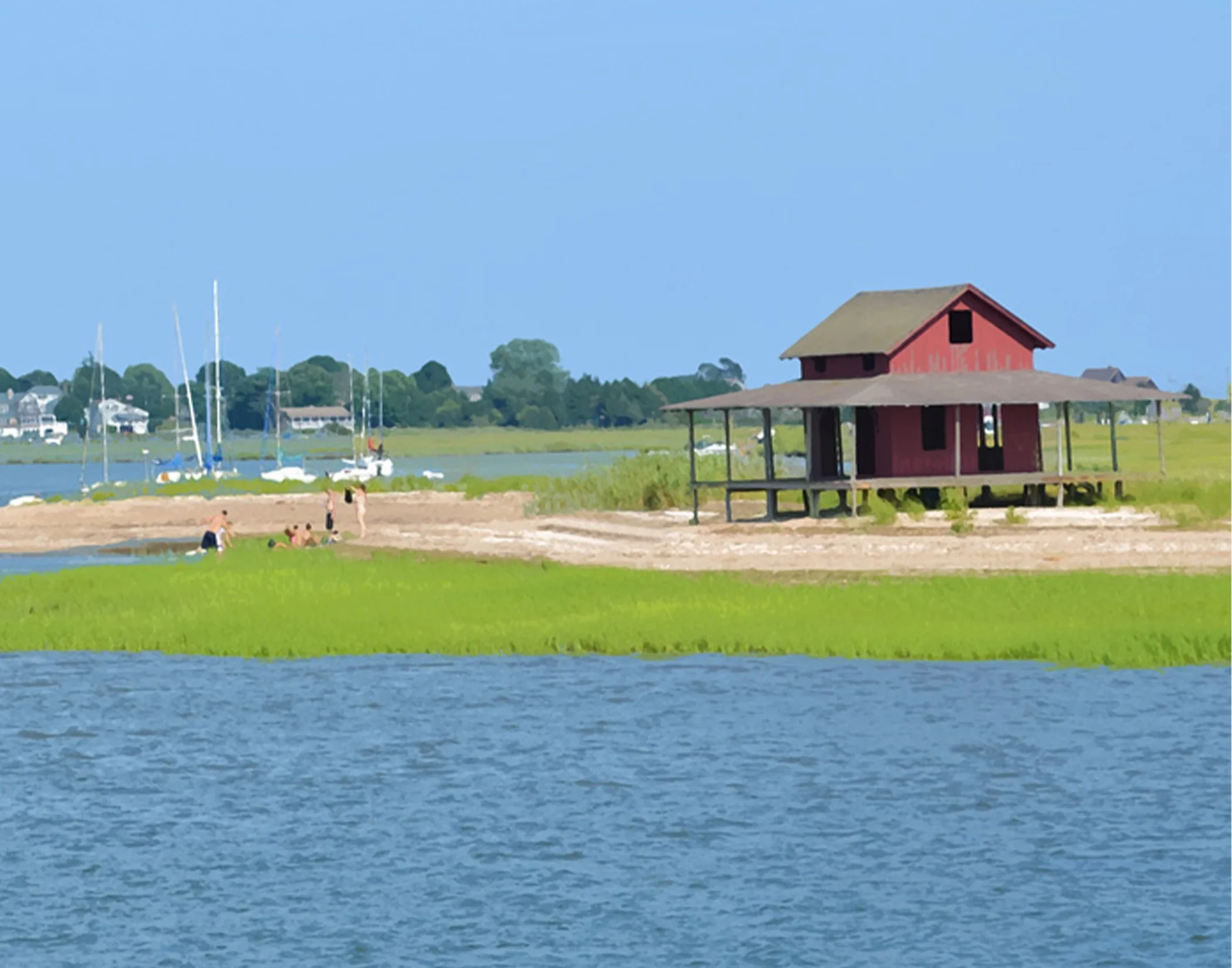 Coastal Swimming Day