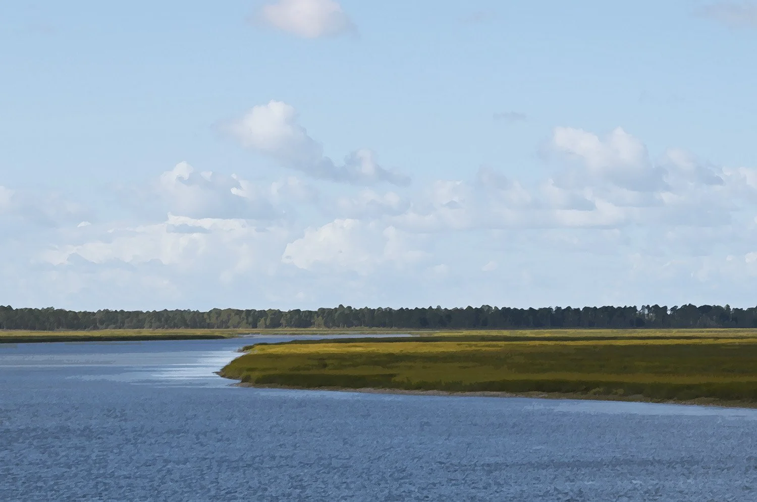 Intercoastal Landscape