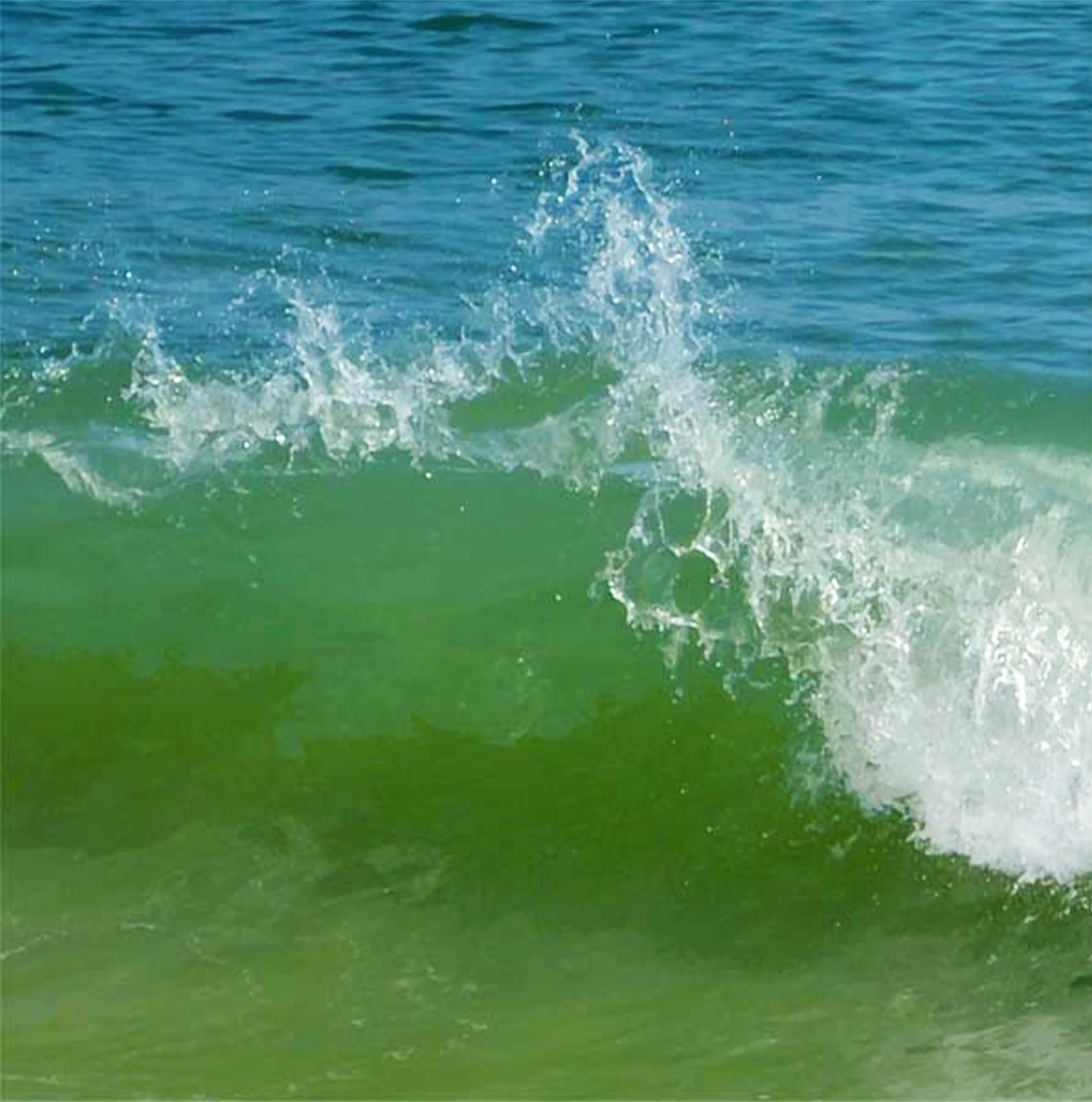 Waves