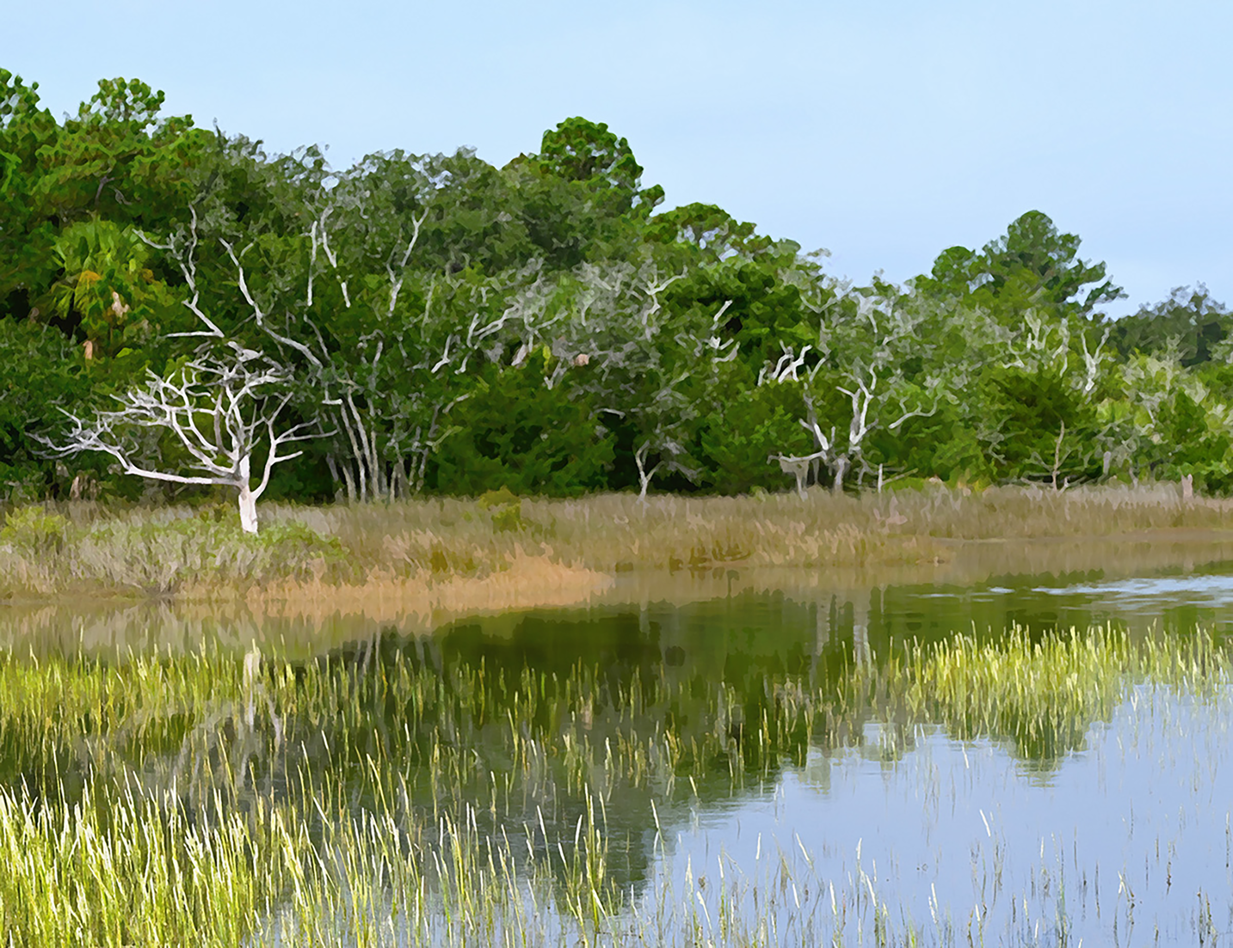 Marshland Mirror