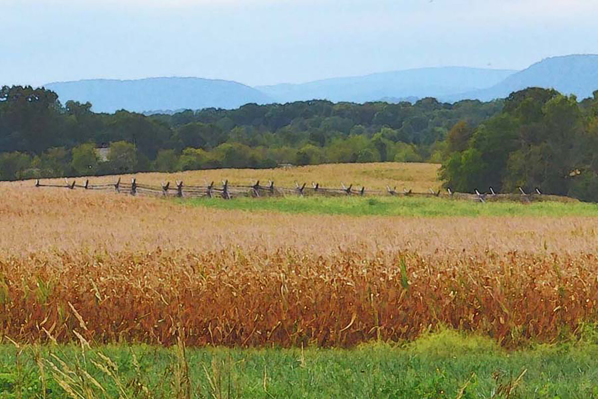 Gettysburg Fields