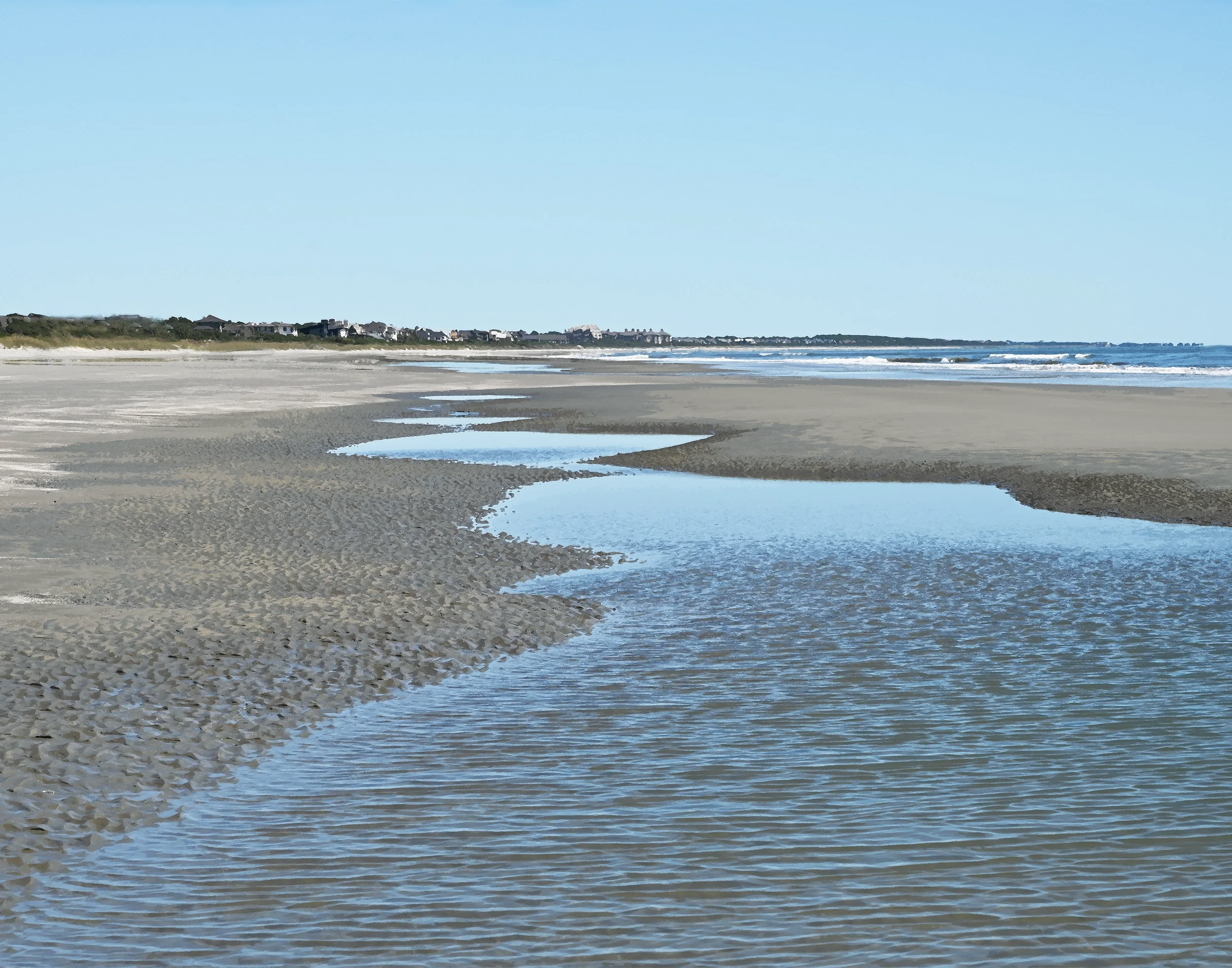 Kiawah Tidal Pool 3