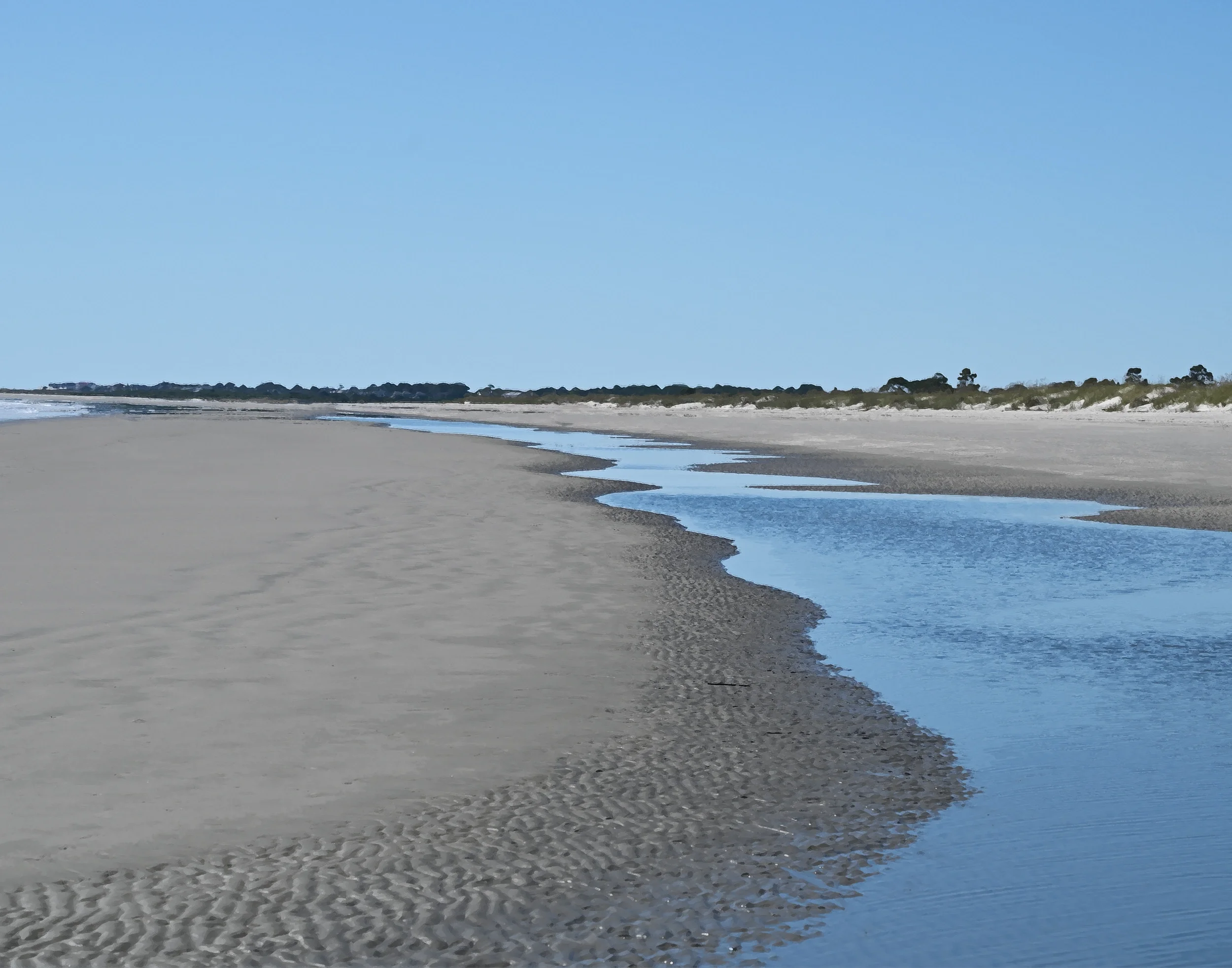 Kiawah Tidal Pool
