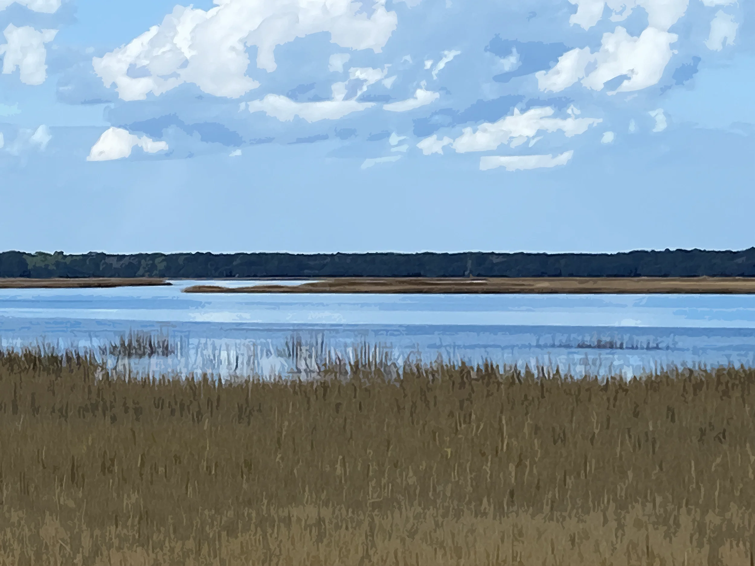 MacKay Creek 1