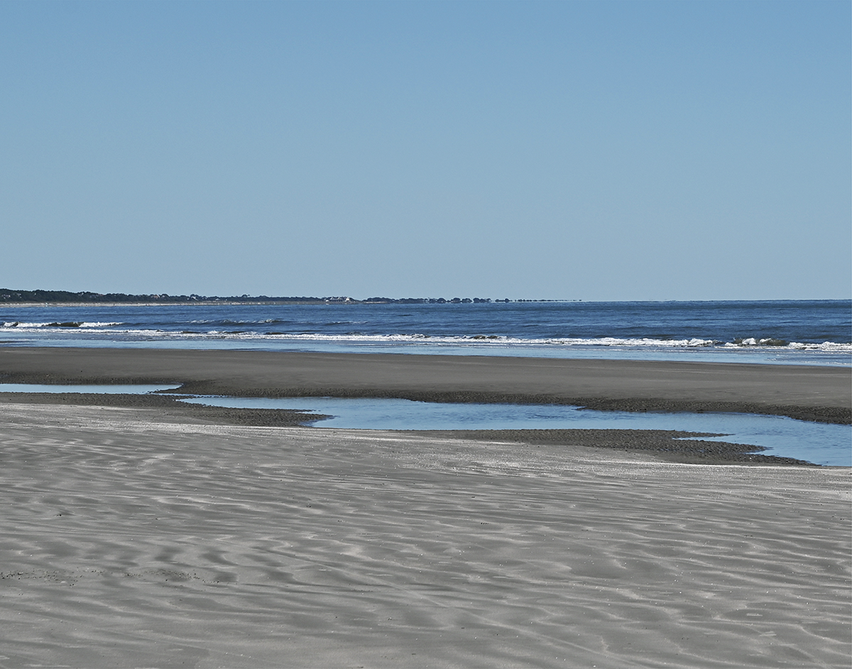 Kiawah Tidal Pool 2