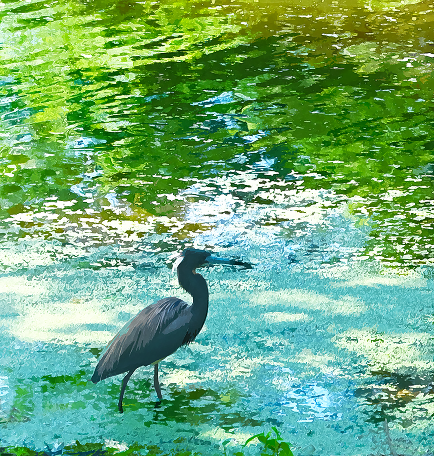 Heron